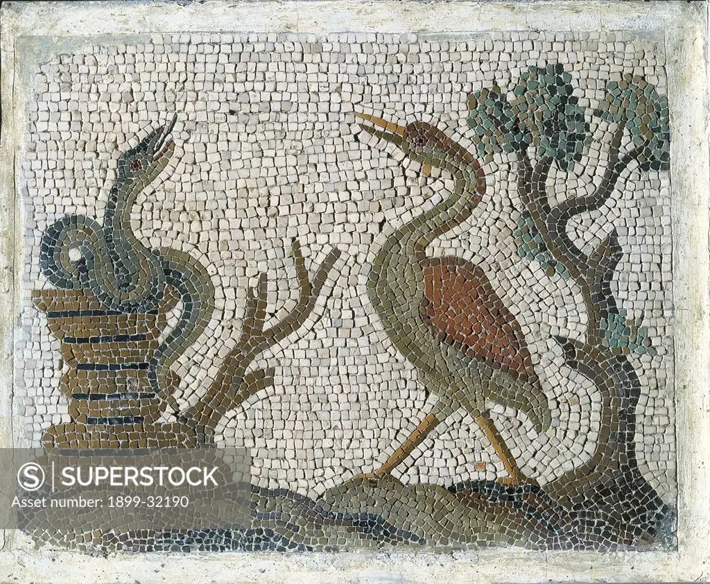 Emblemata with water-fowls, by Unknown, 18th Century, polychrome mosaic. Italy, Lazio, Rome, National Museum of Rome. All tile: panel mosaic snake bird heron tree.