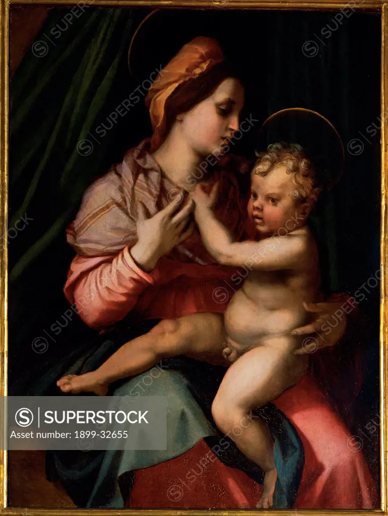 The Madonna and Child, by d'Agnolo Andrea known as Andrea del Sarto, 1526 - 1527, 16th Century, panel. Italy, Tuscany, Florence, Palazzo Pitti, Palatine Gallery. Whole artwork. Madonna Virgin Mary Child Jesus: Baby Jesus: Christ Child naked red dress: garment green curtain halo: aureole.