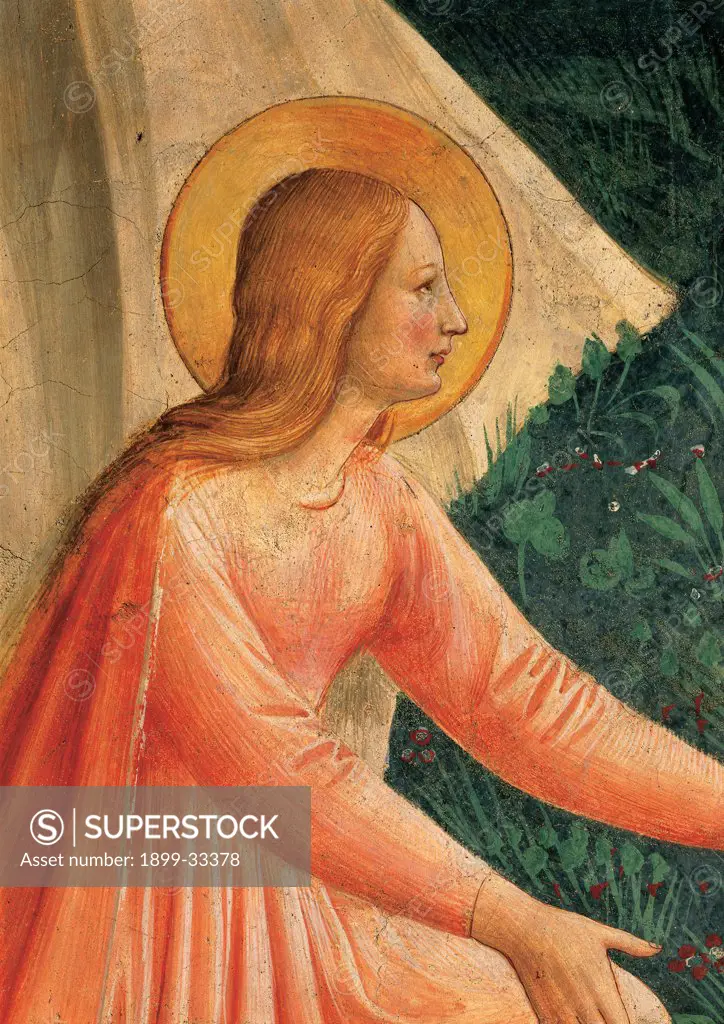 Noli me tangere, by Guido di Pietro (Piero) known as Beato Angelico, 1438 - 1446, 15th Century, fresco. Italy, Tuscany, Florence, San Marco Convent, cell 1. Detail. Face of the Magdalene pious woman halo: aureole pink gold green leaf bush.