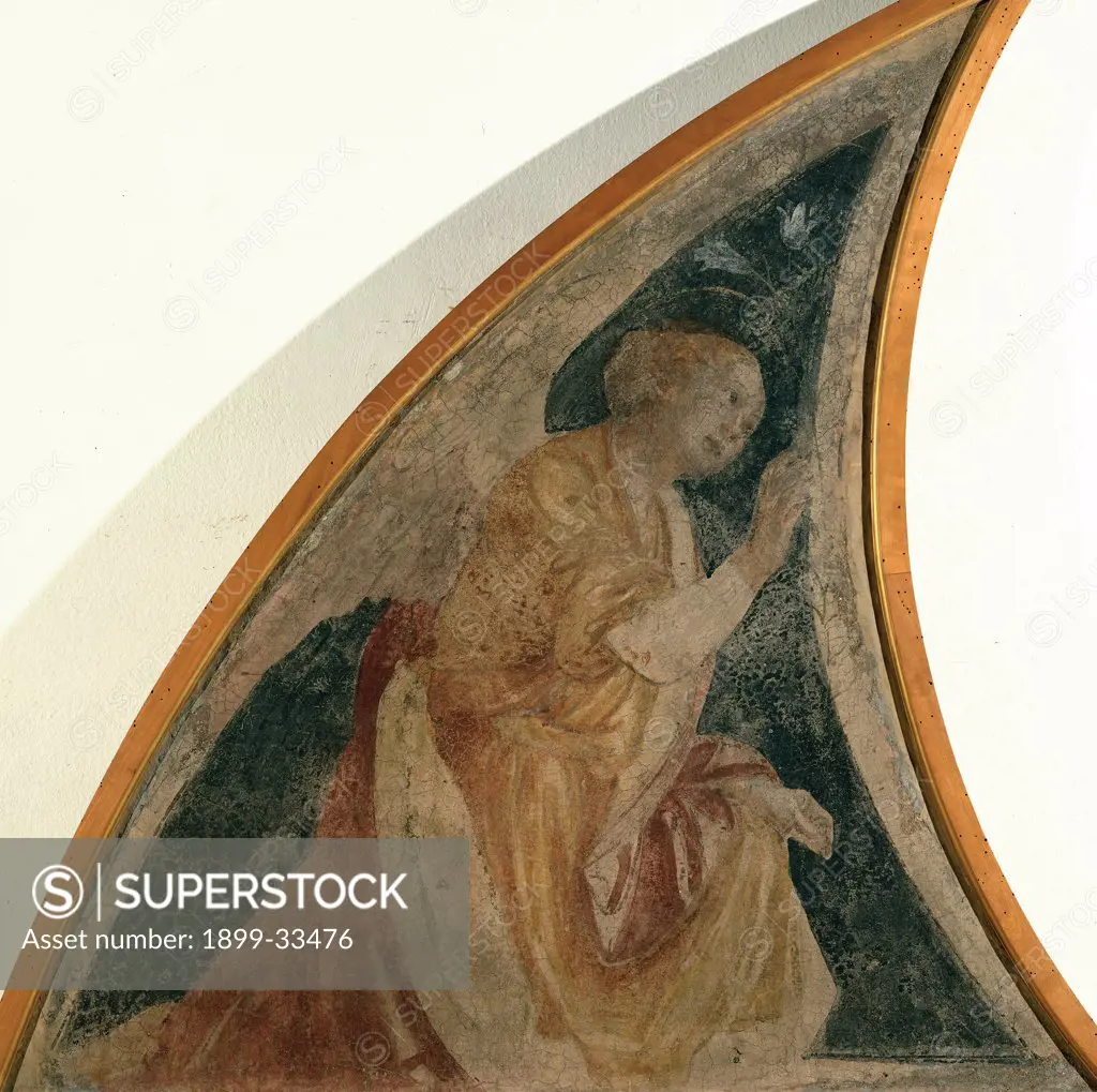 Annunciatory Angel, by Ferrari Gaudenzio, 1539, 16th Century, fresco transferred to canvas, wooden frame. Italy, Lombardy, Milan, Brera Art Gallery. Semi-lunette announcing angel.
