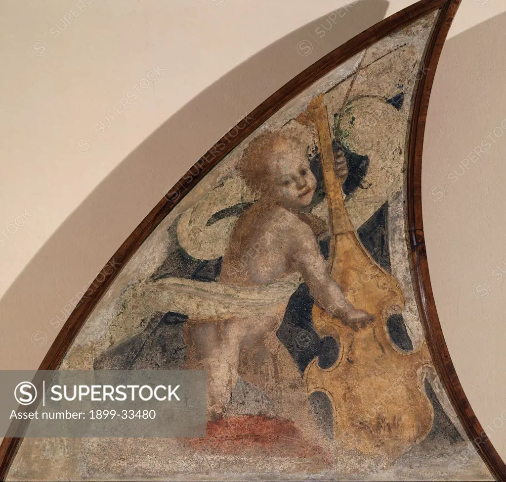 Angel with Viola, by Ferrari Gaudenzio, 1539 - 1539, 16th Century, fresco transferred to canvas, wooden frame. Italy, Lombardy, Milan, Brera Art Gallery. Semi-lunette little angel musician drape: cloth music instrument viola.