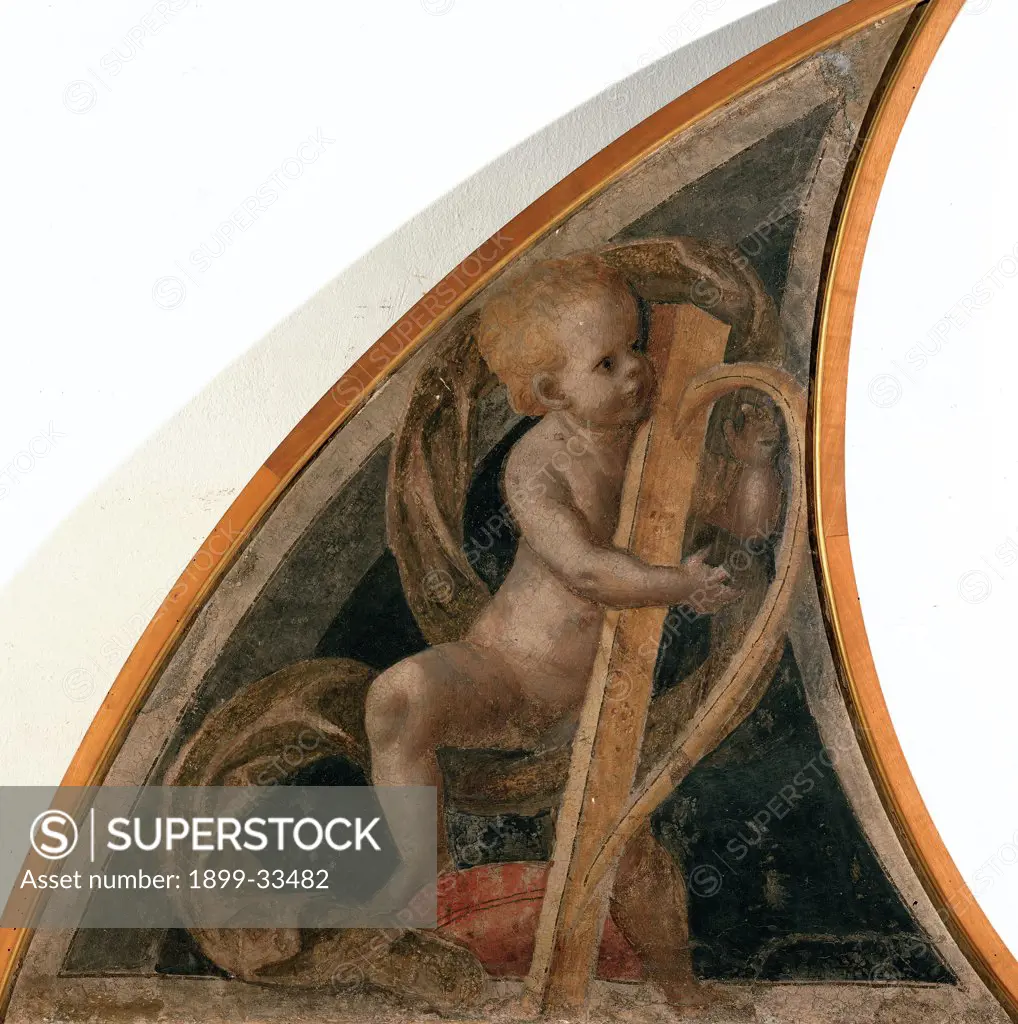 Angel with Harp, by Ferrari Gaudenzio, 1539 - 1539, 16th Century, fresco transferred to canvas, wooden frame. Italy, Lombardy, Milan, Brera Art Gallery. Semi-lunette left musician angel little angel putto: cherub harp music instrument.
