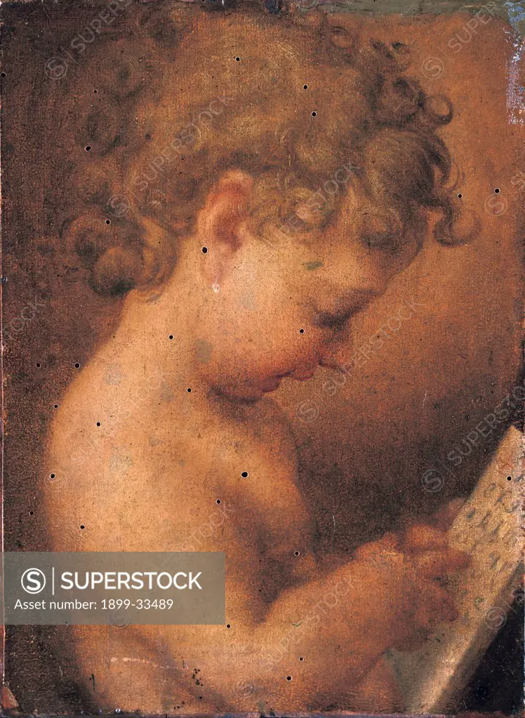Little Putto Praying or Young Boy Reading, by copy from Allegri Antonio detto Correggio, 16th Century, Unknow. Italy, Campania, Naples, Capodimonte National Museum and Galleries. Whole artwork. Child curled hair half bust holding a written sheet.