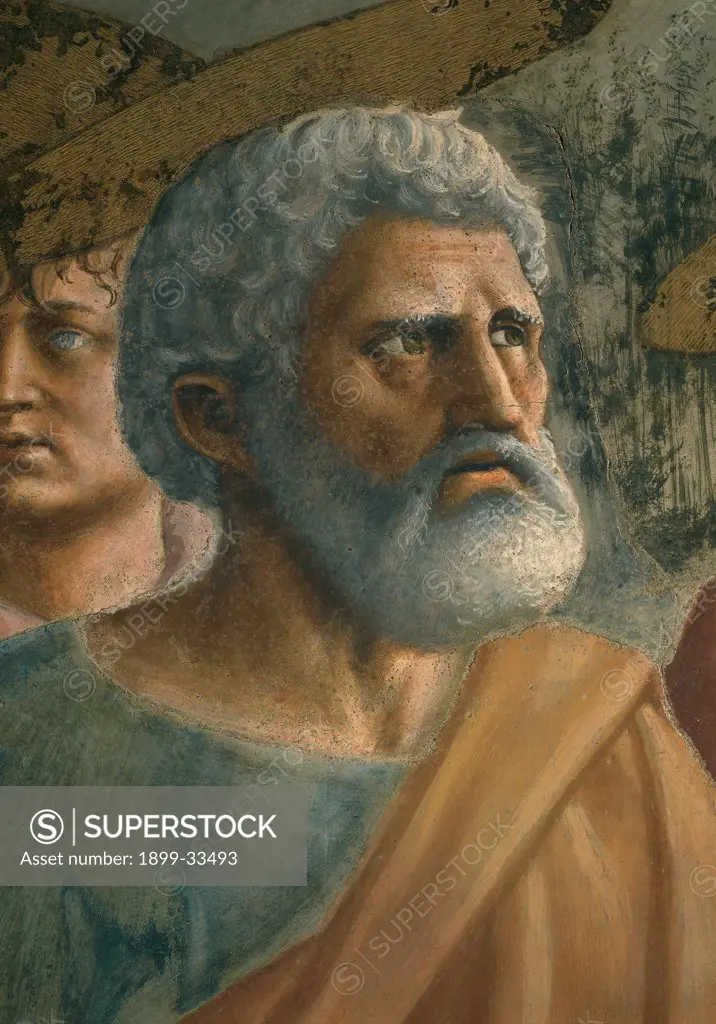 Tribute Money, by Tommaso di Ser Giovanni Cassai known as Masaccio, 1425, 15th Century, fresco. Italy, Tuscany, Florence, Santa Maria del Carmine church, Brancacci Chapel. Detail. Man disciple saint beard gray sad.