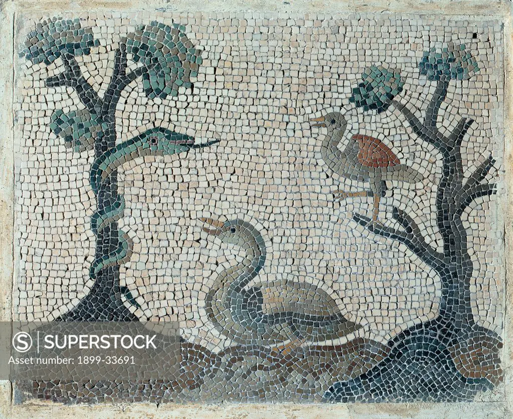 Emblemata with water-fowls, by Unknown artist, 18th Century, polychrome mosaic. Italy: Lazio: Rome: National Museum of Rome. Detail. Emblemata with water-fowls plants snake bird