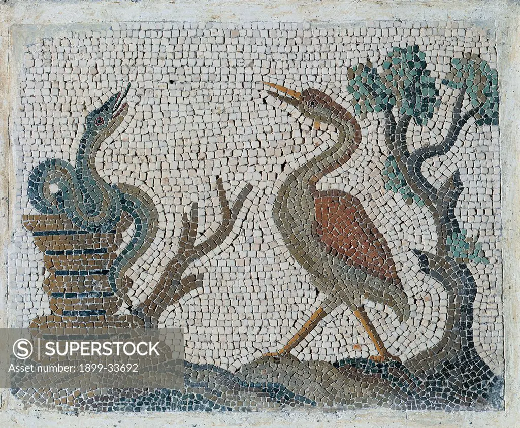 Emblemata with water-fowls, by Unknown artist, 18th Century, polychrome mosaic. Italy: Lazio: Rome: National Museum of Rome. Detail. Emblemata with water-fowls plant snake bird