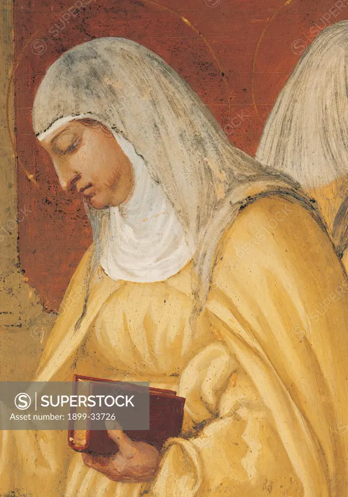 Stories of St Bridget, by Lotto Lorenzo, 1524, 16th Century, fresco. Italy. Lombardy. Bergamo. Trescore. Suardi Oratory. Detail. Works of mercy in the country of profile of St Bridget yellow book Bible veil red white profile