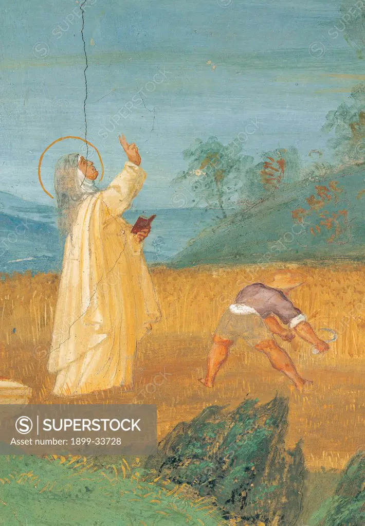 Stories of St Bridget, by Lotto Lorenzo, 1524, 16th Century, fresco. Italy. Lombardy. Bergamo. Trescore. Suardi Oratory. Stories of St Bridget works of charity in the countryside of a hurricane passing yellow field corn halo/aureole farmer trees