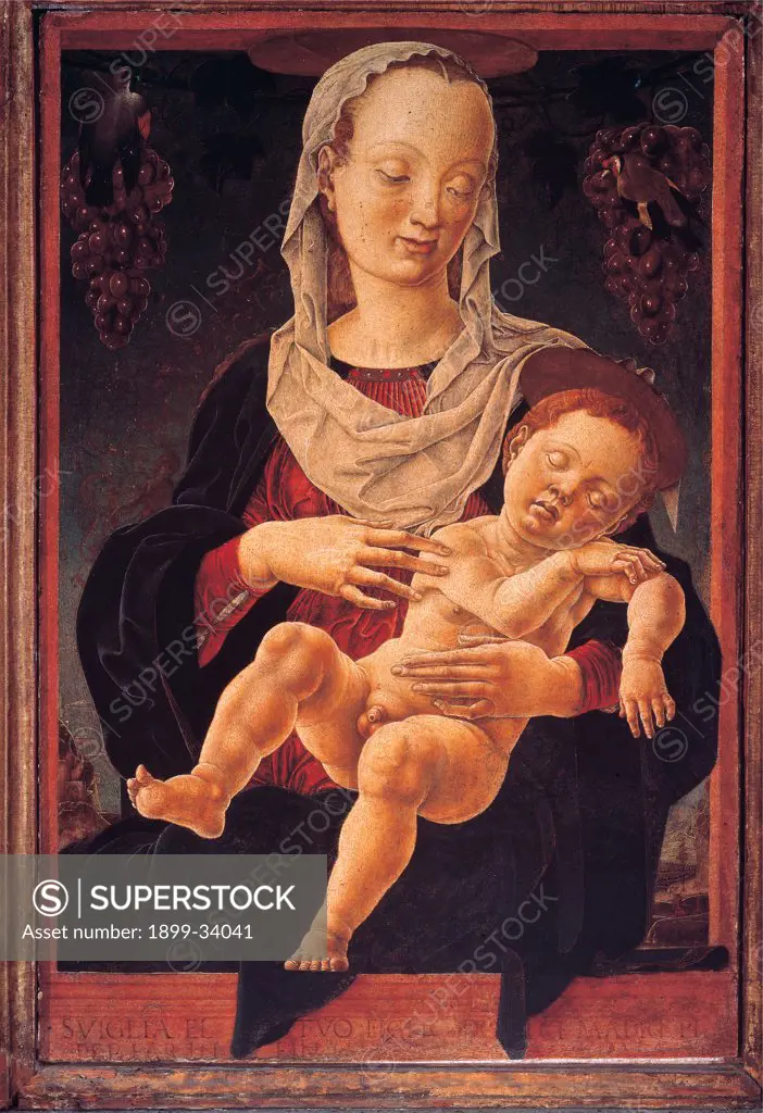 Madonna with the Sleeping Child (Madonna of the Zodiac), by Tura Cosme, 1460 - 1463, 15th Century, tempera on panel. Italy: Veneto: Venice: Accademia Art Galleries. Whole artwork. Madonna Virgin Mary Jesus Child veil mantle bunch grape birds writings