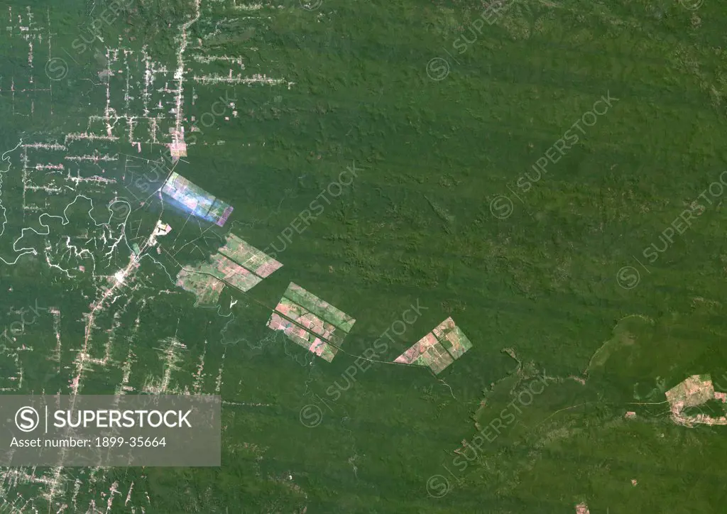 Deforestation, Mato Grosso, Brazil, In 1985, True Colour Satellite Image. True colour satellite image showing deforestation in Amazonia in the State of Mato Grosso, Brazil. Image taken on 17 June 1985, using LANDSAT data.