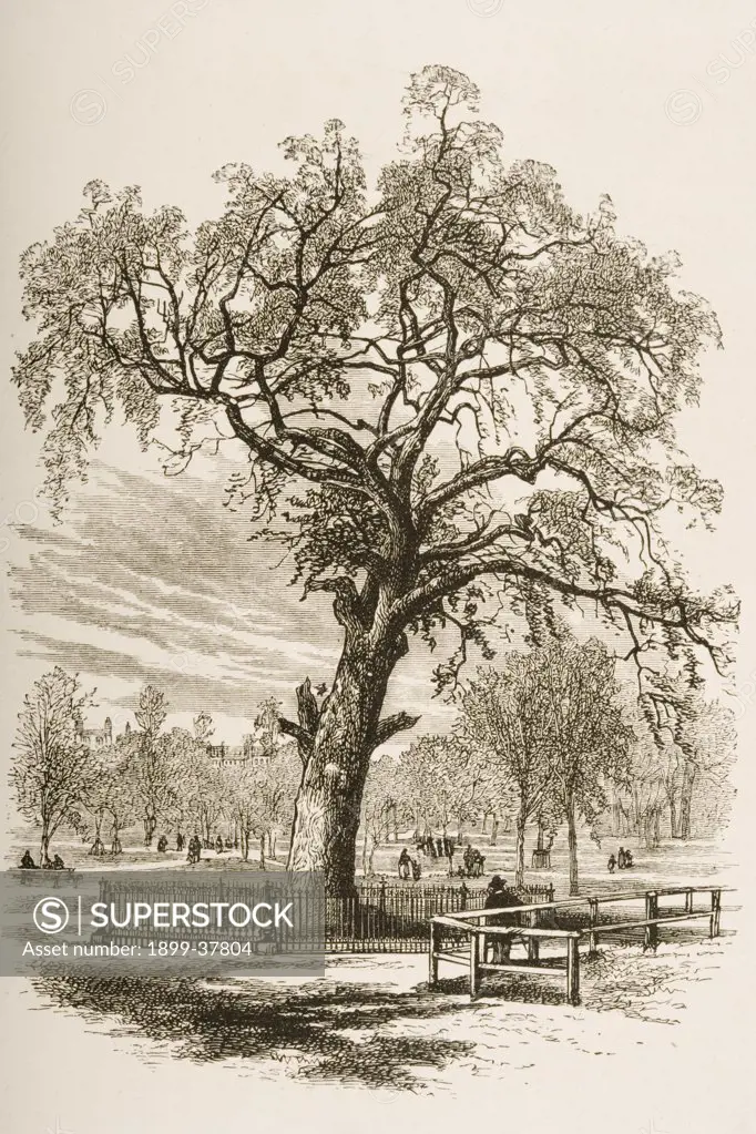 Boston Massachusetts, the Liberty Tree in 1870s. From American Pictures Drawn With Pen And Pencil by Rev Samuel Manning circa 1880