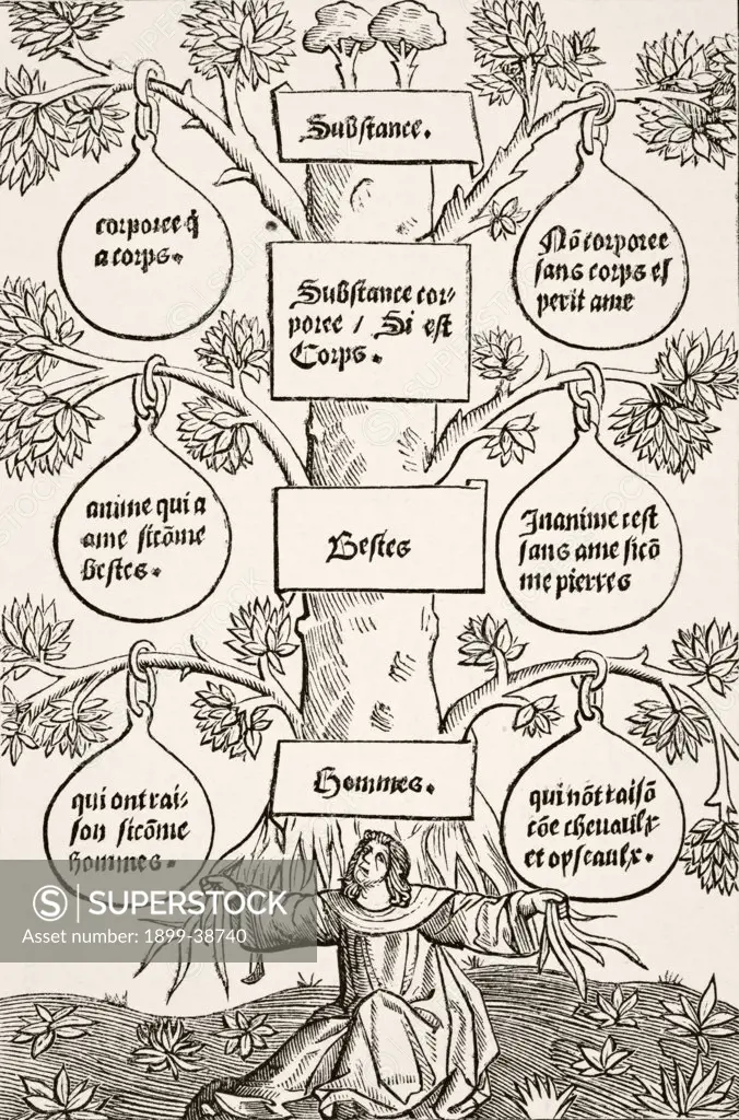 The Tree of Beings and of Substances. After a wood engraving of the Cuer de Philosophie printed Paris 1514. From Science and Literature in The Middle Ages by Paul Lacroix published London 1878