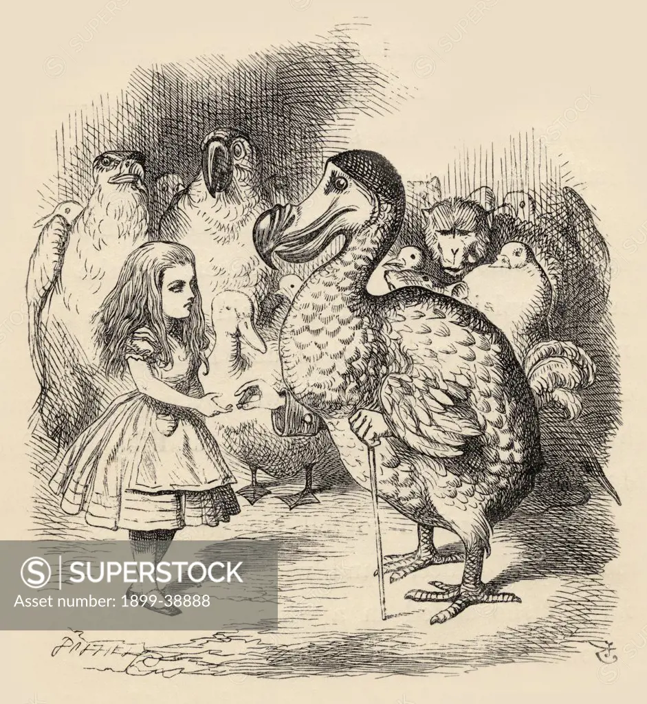 The Dodo solemnly presents Alice with a thimble Illustration by John Tenniel from the book Alices's Adventures in Wonderland by Lewis Carroll published 1891