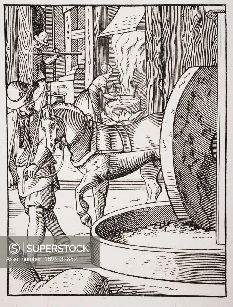 The manufacture of oil. 19th century copy of work drawn and engraved by Jost Amman in 16th century