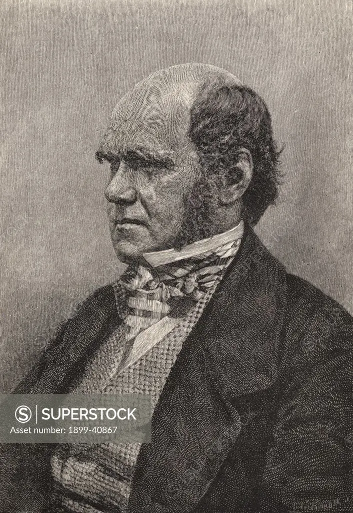 Charles Darwin,1809 -1882 aged 45. British Naturalist. From a photograph (1854) by Messrs. Maull and Fox. Engraved for ""Harper's Magazine"", October 1884. From the book ""The Life and Letters of Charles Darwin"", Volume 1. Published London 1887.