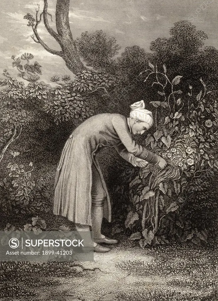 William Cowper, 1731-1800 ""Cowper in his garden"". Enlgish poet. 19th century print from an original drawing by G.H. Smith.