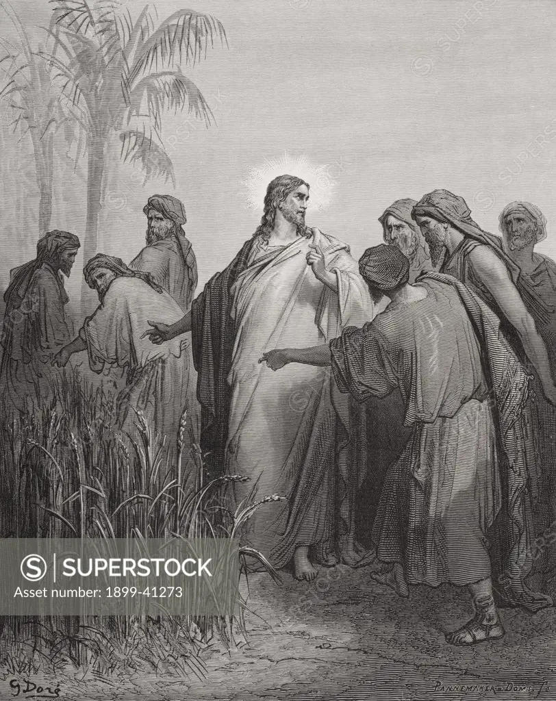 Engraving from The Dore Bible illustrating Mark ii 23 Jesus and His Disciples in the Corn Field by Gustave Dore 1832-1883 French artist and illustrator