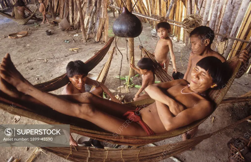 YANOMAMI AMERINDIANS, VENEZUELAN AMAZONAS. Serra Parima, Orinoco River Basin. . Yanomami village. Families live in large communal homesteads. Each family has its own hearth where members eat, sleep and store belongings. Hammocks are strung one above the other like bunks with the youngest children at the bottom. Of all Amerindian tribes, the Yanomami have the least exposure to the modern world. Their future may now be threatened by diseases spread by illegal gold miners. 