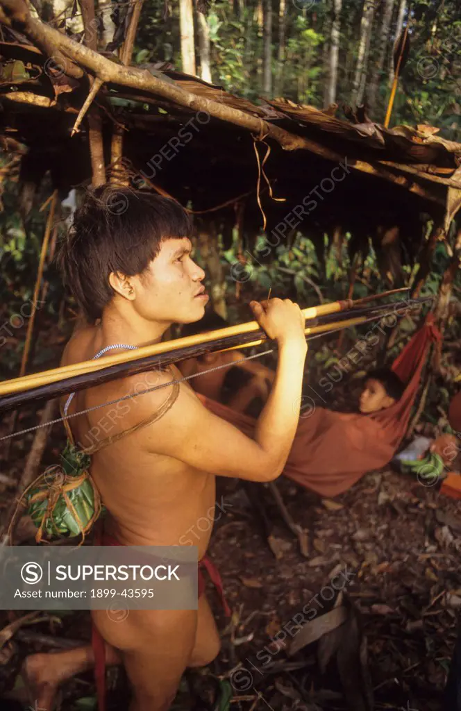 YANOMAMI AMERINDIANS, VENEZUELA AMAZONAS. Serra Parima, Orinoco river basin. Yanomami hunter. . The Yanomami continue to live as tribal farmers, practising an ecologically sound form of shifting cultivation, supplementing thier diet with fishing and hunting. They live in one of the most inaccessible regions of the Amazon, and of all the Amerindian tribes, the Yanomami have the least exposure to the modern world. Their future may now be threatened by diseases spread by illegal Brazilian gold mine