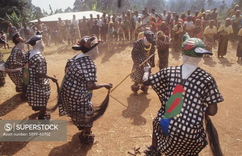 JUJU DANCE, CAMEROON. Mount Oku, Bamenda Highlands. Juju dance for the environment. Dancers, dressed as forest animals, depict the destruction of the rainforest. . 