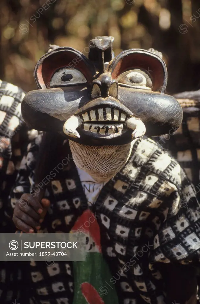 JUJU DANCE, CAMEROON. Mount Oku, Bamenda Highlands. Juju Dance for the environment. Juju dancers, dressed as forest animals, depict the destruction of the forest. . Juju is an intrinsic part of the culture and promotes a powerful conservation message to the audience. 