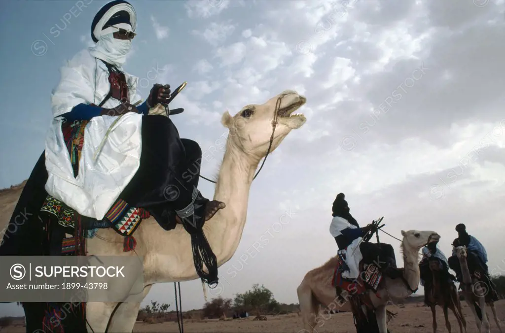 TUAREG NOMADS, NIGER (West Africa). This nomadic tribe still make a living as traders. . 