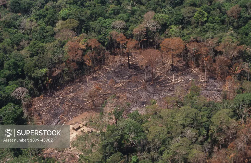 DEFORESTATION, BRAZIL. Amazon, vicinity Rio Branco. Patches of forest burnt by migrant slash and burn cultivators to clear land to plant crops. The tree ash fertilizes the soil for only a few years. . 