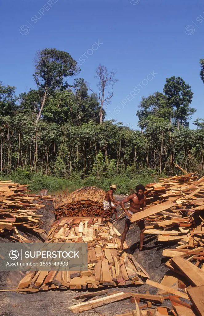 DEFORESTATION, BRAZIL. Amazon, Paragominas. Mahogany offcuts being placed in an earth kiln. . Charcoal is also produced by sawmills using mahogany offcuts. Children work 12 hour shifts for $2.50 a week. The charcoal is used to smelt iron ore. 