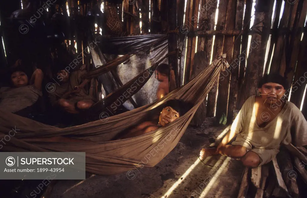 YANOMAMI AMERINDIANS, VENEZUELAN AMAZONAS. Serra Parima, Orinoco River Basin. Yanomami village. Families live in large communal homesteads. . Each family has its own hearth where members eat, sleep and store belongings. Hammocks are strung one above the other like bunks with the youngest children at the bottom. Of all Amerindian tribes, the Yanomami have the least exposure to the modern world. Their future may now be threatened by diseases spread by illegal gold miners. 