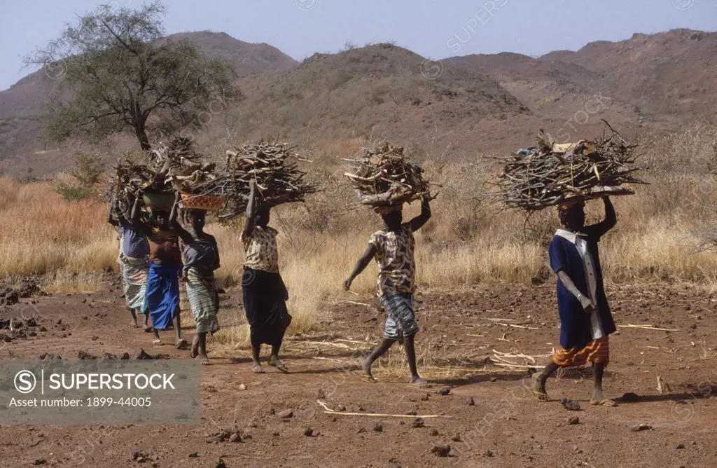 FUELWOOD, BURKINA FASO. Yatenga Province, Kalsaka Village. Women returning with fuelwood. . 
