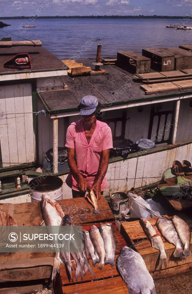 FISH MARKET, BRAZIL. Belem. Fish is an important part of peoples diet in the Amazon. . However mercury released into some rivers by gold miners is poisoning fish. Increased turbidity, also caused by mining is affecting fish. 