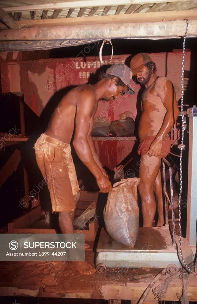 MINING, BRAZIL. Amazon, Bom Futuro, vicinity Ariquemes. . Weighing tin ore at the mine site 2500 garimpeiros or prospectors mine tin ore from this mine. 80 per cent have malaria and five men are shot each week. 