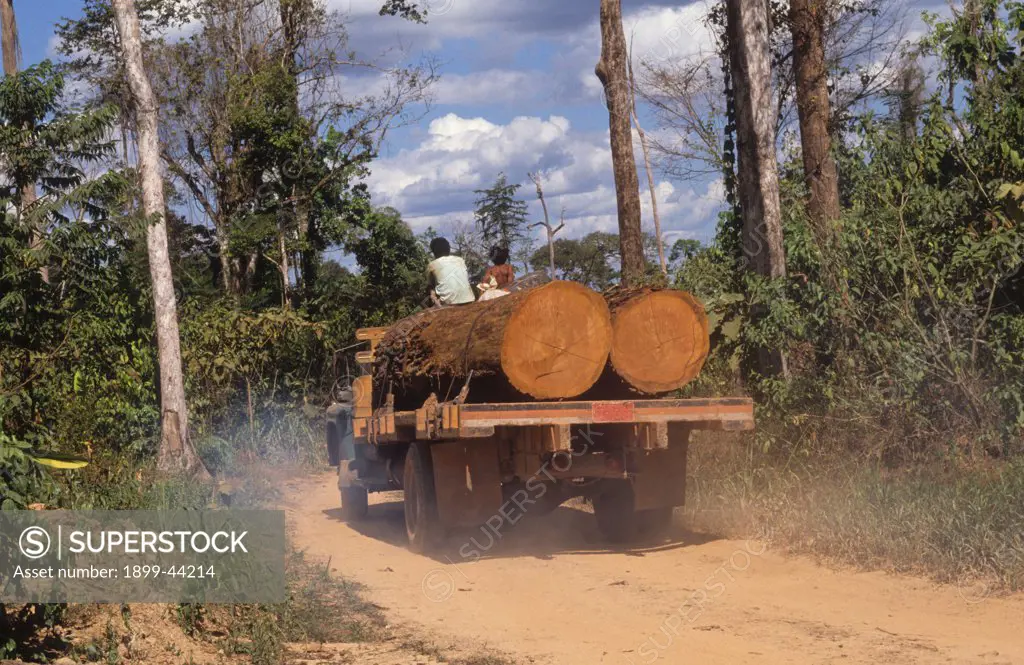 LOGGING, BRAZIL. Amazon, vicinity Paragominas. Mahogany being taken to a saw mill. . Commercial logging in itself does not lead to total deforestation. However, the logging operations and roads open the forest to slash and burn cultivators who quickly colonize and cut the remaining forest to grow crops and the forest is destroyed. 