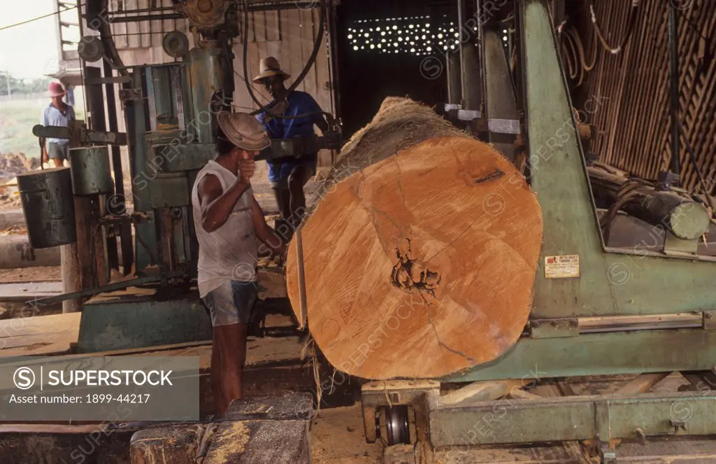 LOGGING, BRAZIL. Amazon, Paragominas. Mahogany tree trunk being sawn into planks. There are 600 timber mills in the town. . 5000 trees are sawn into logs each day. The labourers including children live and work in appalling conditions for subsistence wages. Commercial logging in itself does not lead to total deforestation. However, the logging operations and roads open the forest to slash and burn cultivators who quickly colonize and cut the remaining forest to grow crops and the forest is destr
