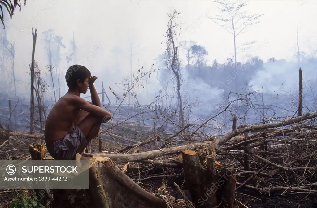 HABITAT DESTRUCTION, INDONESIA. Sumatra, Nr Bukit Tigapuluh. Man squatting on tree stump surveying burning jungle. . This area of rainforest has been used by generations for hunting and gathering medicinal plants. 
