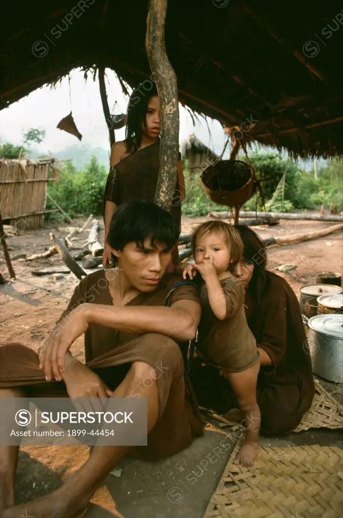 AMAZON - PERU, vicinity Satipo. Campa or Ashaninka Indians. Homelife. They are hunter gatherers living from the jungle without destroying it. . It takes about 18 hours a week to collect the food they need. Their diet is regarded as one of the most nutritious in the World. Their way of life is threatened by migrant slash and burn farmers who destroy the jungle in order to grow a few crops. 
