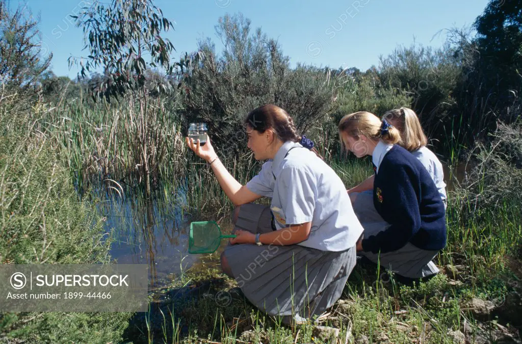 EDUCATION - AUSTRALIA. Western Australia. School children studying wetlands habitats preserved by Alcoa Ltd. . 