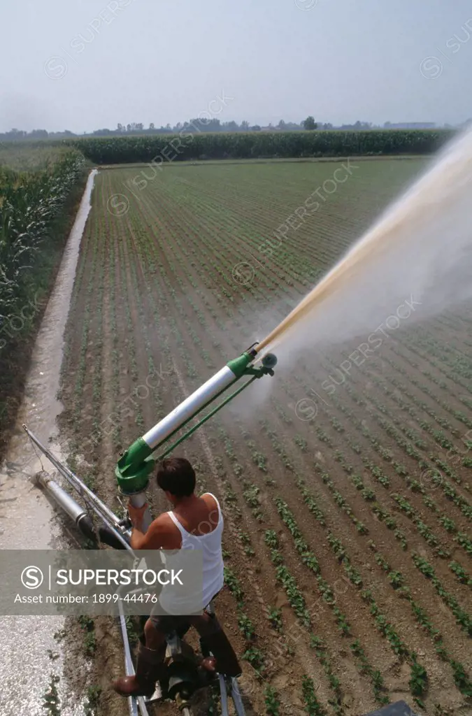 ITALY, Po Delta. Saluzzo, vicinity Cuneo. Modern irrigation systems help farmers in the Po valley to produce some of the Worlds highest yields per hectare. . Water taken from the Po for farming has rocketed to 18 billion cubic meters a year, about 36% of all water consumption in Italy. 