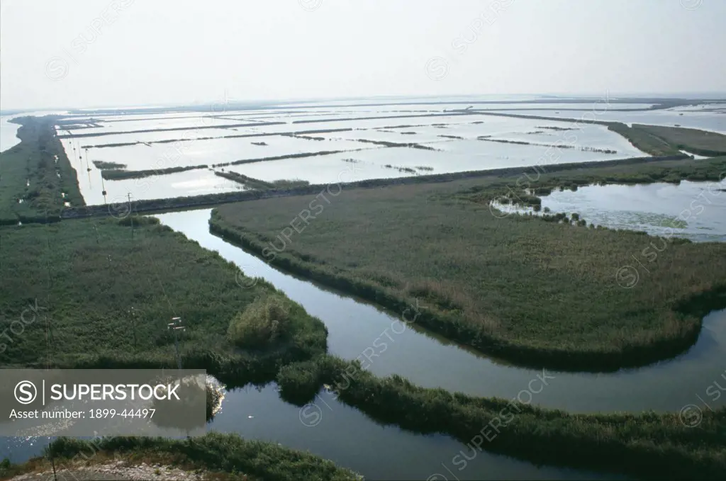 ITALY, River Po. Isola Della Batteria. Pila, vicinity Porto Tolle. This is one of the few nature reserves in the Po Delta. . Drainage by the Ministry of Public Works is still destroying this area regarded as the most important wetlands in Italy. Wetlands are an important habitat for birds, fish, plants and insects. 
