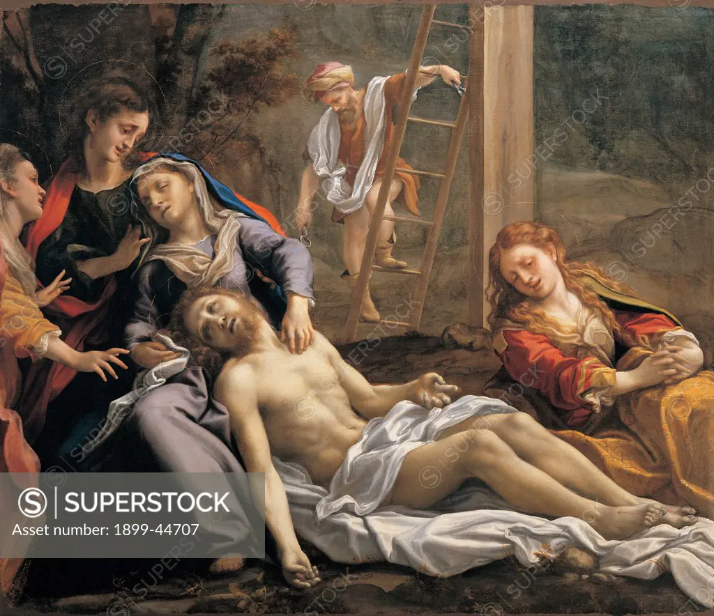 Deposition from the Cross, by Allegri Antonio known as Correggio, 1524 - 1526, 16th Century, oil on canvas. Italy: Emilia Romagna: Parma: National Gallery of Art. Whole artwork. Lamentation dead Christ half-naked body drape fainting Virgin Mary Madonna saints apostles Magdalene steps/stairs rungs wood pincers/pliers