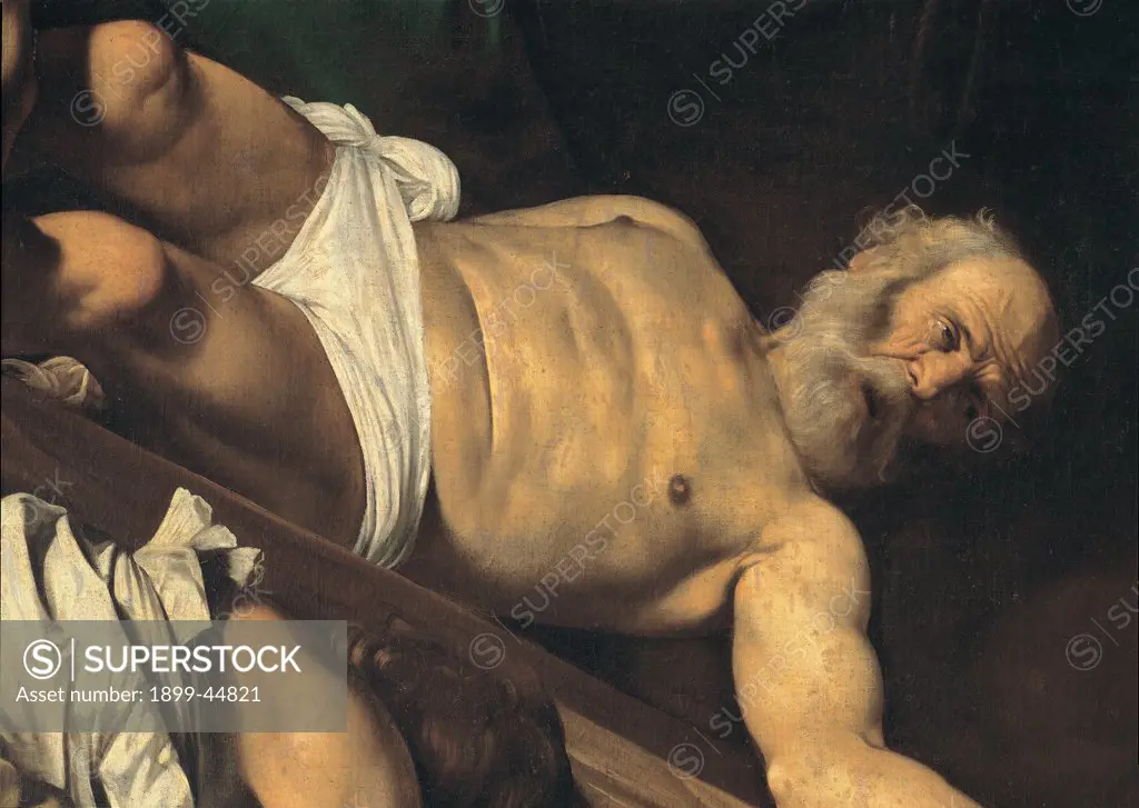 Martyrdom of St Peter, by Merisi Michelangelo known as Caravaggio, 1600 - 1601, 17th Century, oil on canvas. Italy: Lazio: Rome: Santa Maria del Popolo Church. Detail. Naked bust drape St Peter crucified man beard