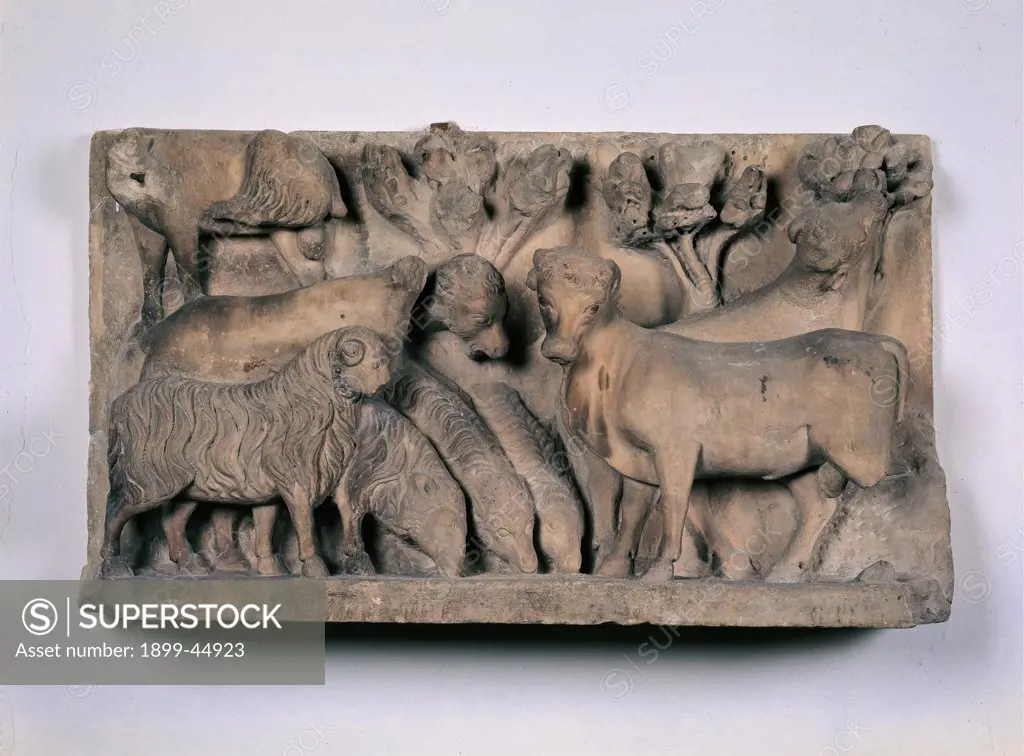 Animals, by Arnolfo di Cambio, workshop Arnolfo di Cambio, 1296 - 1310, 13th Century -14th Century, marble. Italy: Tuscany: Florence: Opera di Santa Maria del Fiore Museum. Whole artwork. Animals flocks sheep oxen