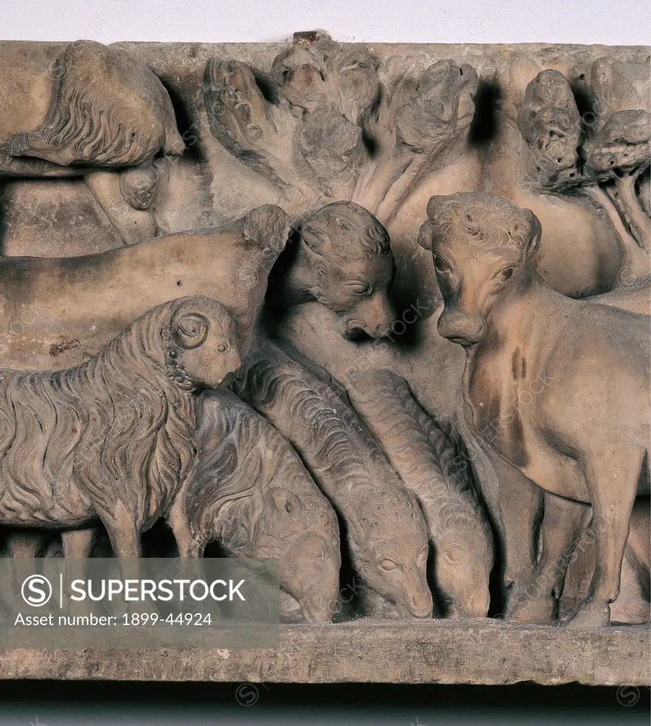 Animals, by Arnolfo di Cambio, workshop Arnolfo di Cambio, 1296 - 1310, 13th Century -14th Century, marble. Italy: Tuscany: Florence: Opera di Santa Maria del Fiore Museum. Detail. Animals flocks sheep ox