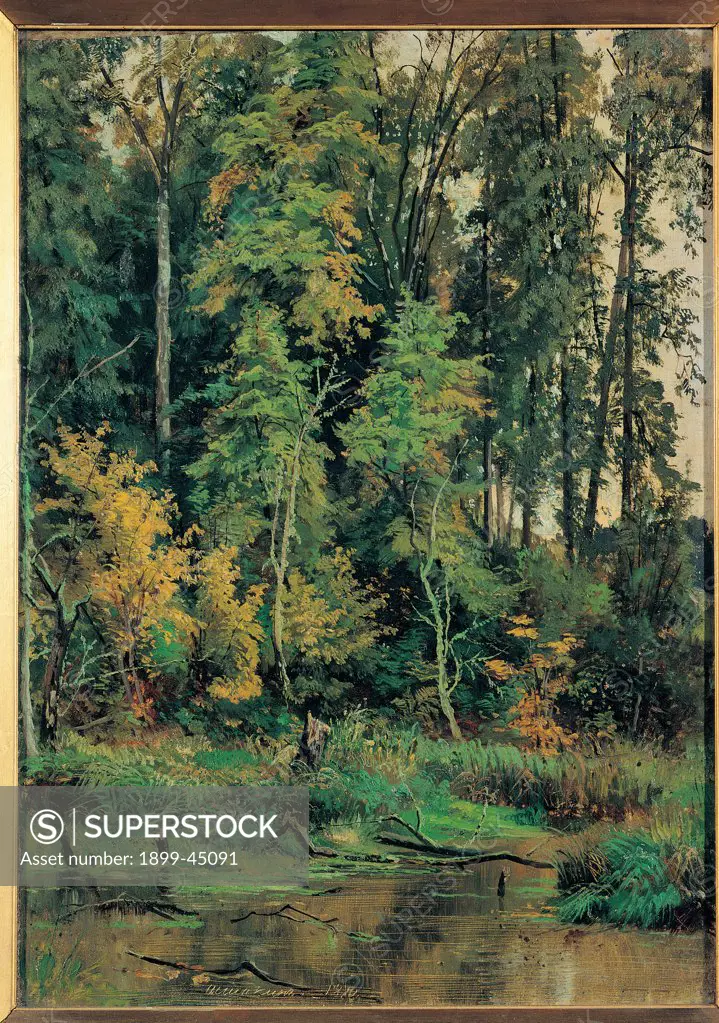Towards the Autumn, by Siskin Ivan Ivanovic, 1880, 19th Century, oil on canvas. Russia: Moscow: Tret'jakov National Gallery: Inv. 833. Whole artwork. Coming autumn plants trees forest bush water green brown study