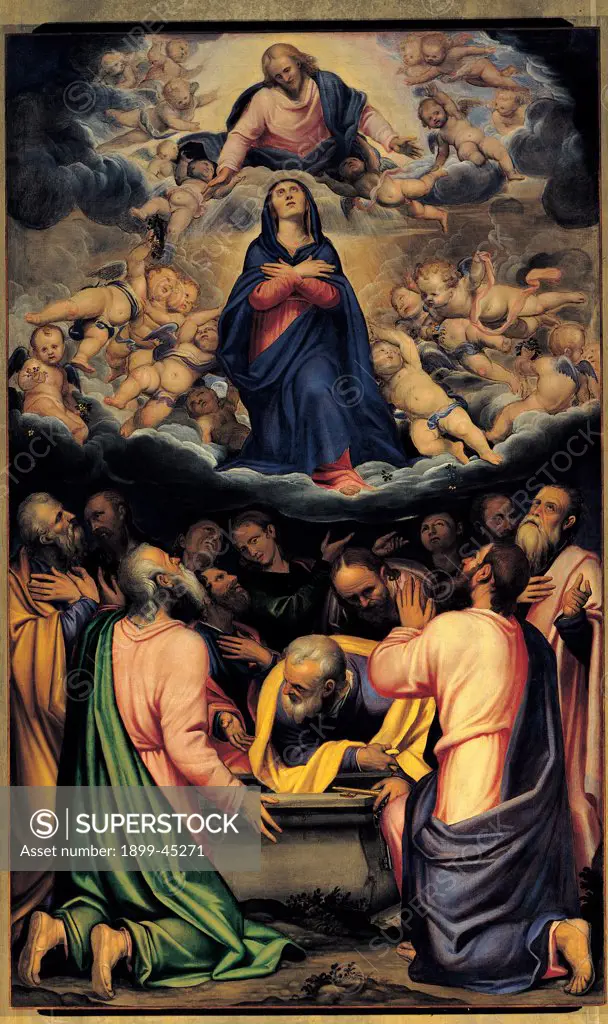 The Assumption of the Virgin, by Bonvicino Alessandro known as Moretto da Brescia, 16th Century, oil on canvas. Italy: Lombardy: Brescia: Old Cathedraly. All Jesus Christ Virgin Assumption angels Apostles/Disciples yellow green blue cloud