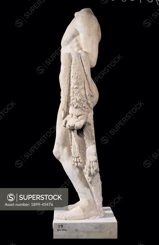 Headless Statue of Heracles, by Unknown artist, 1st Century, marble. Italy: Lazio: Rome: Palazzo Massimo alle Terme: inv. 29. Whole artwork. Headless statue of Heracles view profile. Man anatomy hide animal fleece white marble pedestal