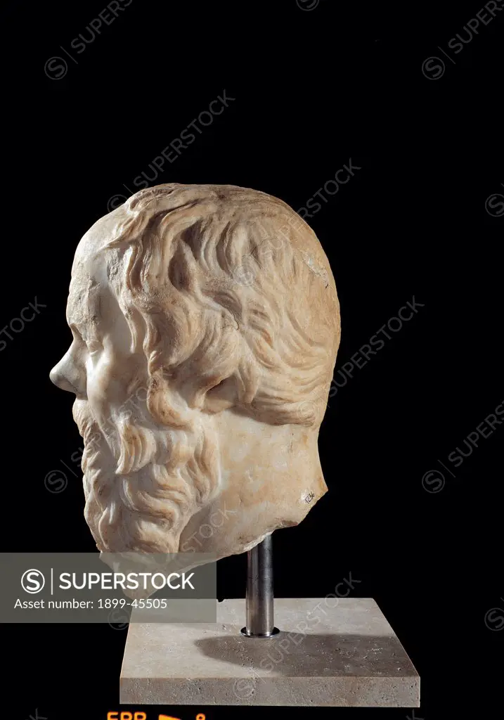 Head of Socrates, by Unknown artist, 2nd Century, Greek marble, full relief. Italy: Lazio: Rome: Palazzo Massimo alle Terme: Galleria III inv. 1236. Whole artwork. Profile. Face of old man with flowing beard