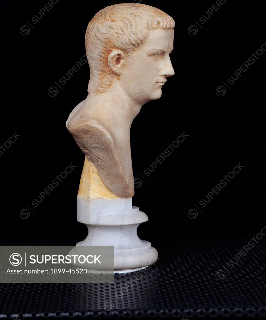 Small Bust of Emperor Caligula, by Unknown artist, 37 - 41,, Luni Marble. Italy. Lazio. Rome. Palazzo Massimo alle Terme. Sala IV - inv. 4256. Whole artwork. Small bust of Emperor (Caligula) view from the right. From the Tiber, towards Via Giulia. State of preservation of portrait undamaged. At its discovery showed polychromy traces