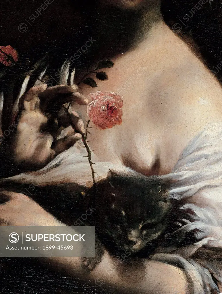 Woman with Rose and a Cat, by Crespi Giuseppe Maria know as Spagnuolo (or Spagnolo), 1700 - 1710, 18th Century, oil on canvas. Italy: Emilia Romagna: Bologna: National Gallery of Art. Detail. Portrait woman girl neckline chiaroscuro light rose shade black cat white light shade