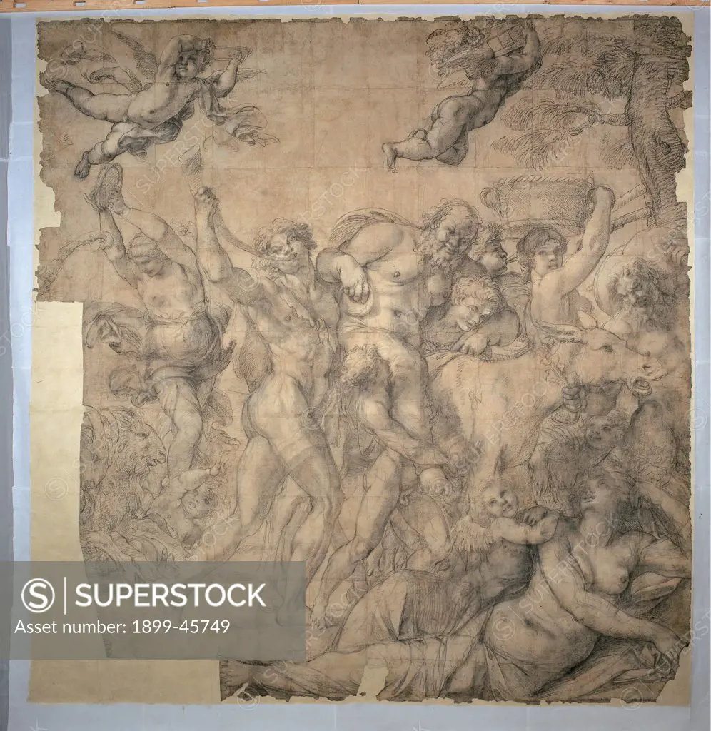 A Bacchic Procession with Silenus, by Carracci Annibale, 1597 - 1600, 16th Century, charcoal and white lead on gray, blue paper. Italy: Marche: Pesaro Urbino: Urbino: Galleria Nazionale delle Marche. Whole artwork. Bacchus god Silenus cortege/procession bacchanal feast players men women girls nudity basket flowers fruit wine calf inebriation/ drunkenness putti/cherubs sheet drawing squaring